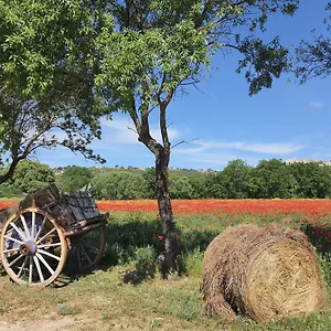  Hébergement de vacances La Petite Galéjade